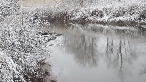 Nieve fuerte en el río. Clima de invierno — Vídeos de Stock