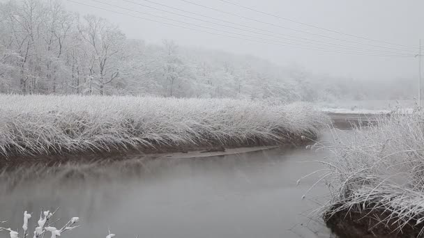 Zware sneeuw op de rivier. Winterweer — Stockvideo