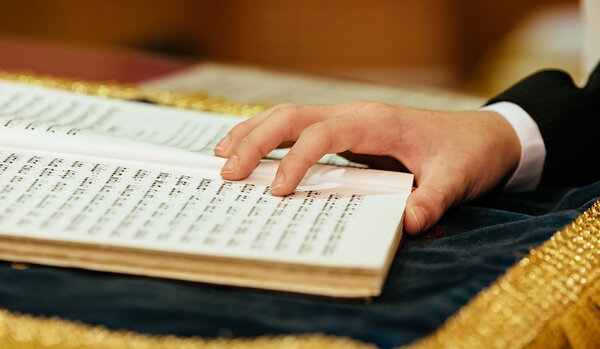 Jewish judaism culture holiday torah tova