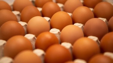 Taze organik organik tavuk yumurtalarını paketlemek için çiğ kahverengiyi kapatın. Kağıt paketleme tepsisi süpermarket market market market tezgahı fabrika tezgahı kümes hayvanları taşıma rafı. Yemek pişirme ürünleri