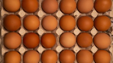 Taze organik organik tavuk yumurtalarını paketlemek için çiğ kahverengiyi kapatın. Kağıt paketleme tepsisi süpermarket market market market tezgahı fabrika tezgahı kümes hayvanları taşıma rafı. Yemek pişirme ürünleri