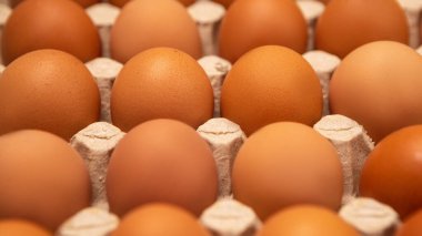 Taze organik organik tavuk yumurtalarını paketlemek için çiğ kahverengiyi kapatın. Kağıt paketleme tepsisi süpermarket market market market tezgahı fabrika tezgahı kümes hayvanları taşıma rafı. Yemek pişirme ürünleri
