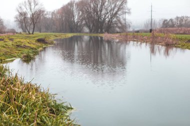 Göle odaklan. Manzara iskele karamsar yağmurlu hava günü, kara bulutlar doğa ağaçları su akışı, yeşil çimenler üzerinde rom, bataklık kirli. Kopyalama alanı olan resim.