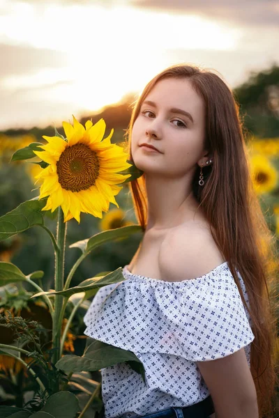 Bonito Atraente Jovem Caminhar Através Buquê Amarelo Florescendo Campo Girassol — Fotografia de Stock