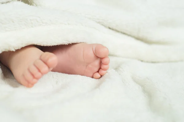 Pieds de bébé — Photo