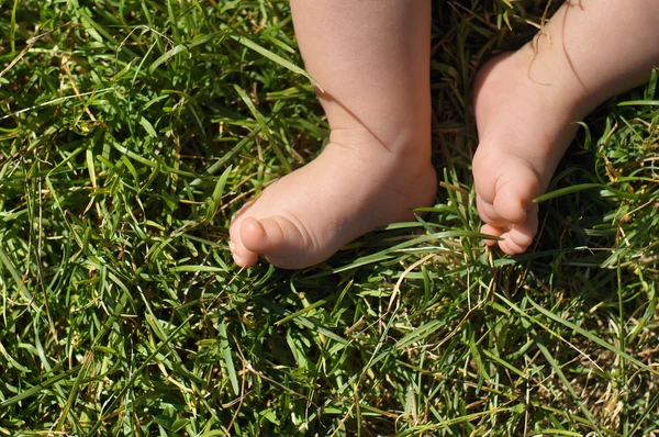 Baby voeten op gras — Stockfoto