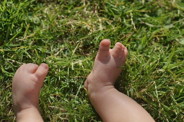 Baby feet on grass — Stock Photo, Image