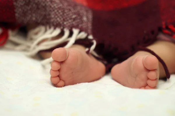 Baby nohy pod dekou — Stock fotografie