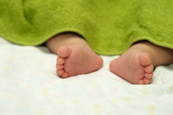 Pés de bebê sob cobertor — Fotografia de Stock
