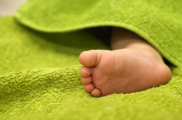 Baby voeten onder deken — Stockfoto