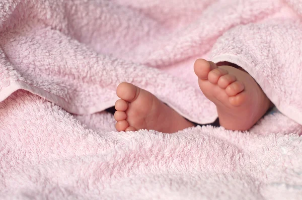 Baby fødder under tæppe - Stock-foto