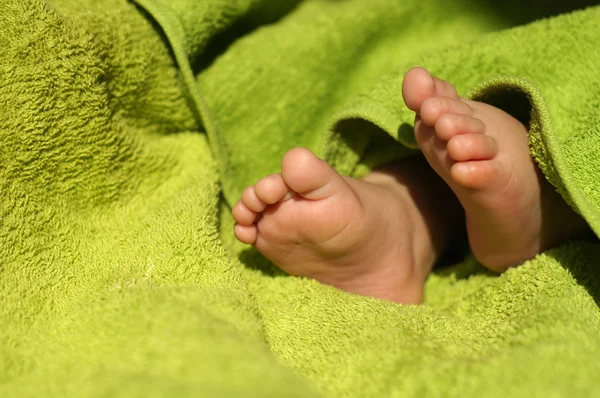 Pies de bebé debajo de la manta — Foto de Stock