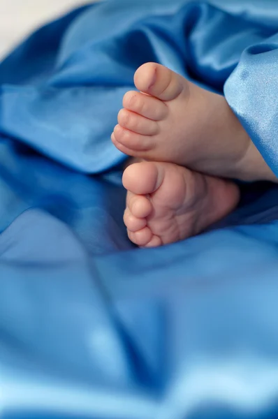 Baby feet in silk — Stock Photo, Image