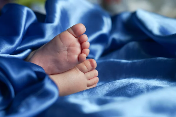 Baby feet in silk — Stock Photo, Image