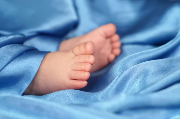 Baby feet in silk — Stock Photo, Image