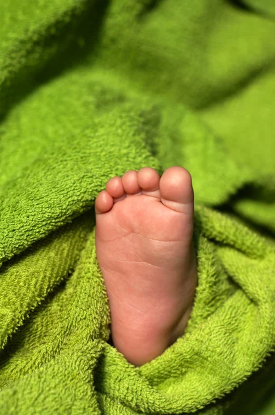 Baby voeten onder deken — Stockfoto