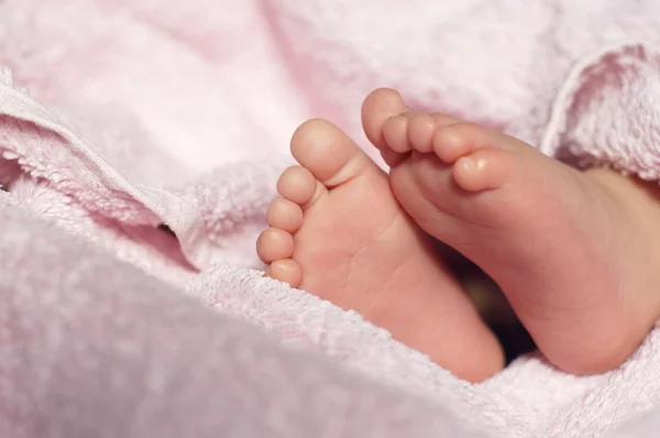 Pés de bebê sob cobertor — Fotografia de Stock