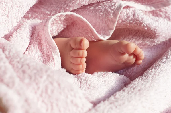 Pies de bebé debajo de la manta —  Fotos de Stock
