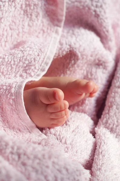 Baby Feet under blanket — Stock Photo, Image