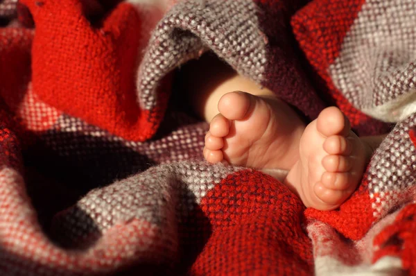 Babyfüße unter Decke — Stockfoto