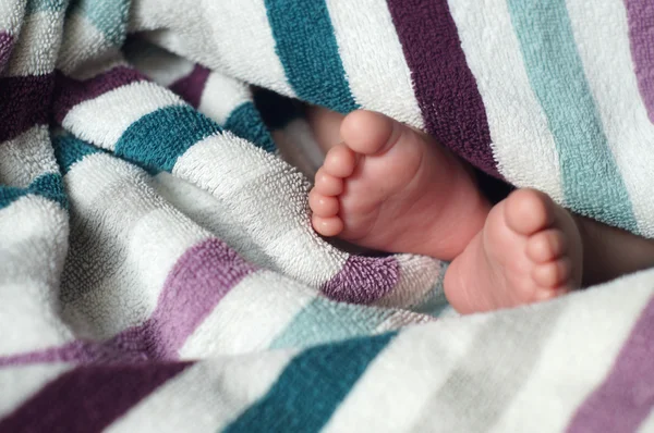 Pés de bebê sob cobertor — Fotografia de Stock