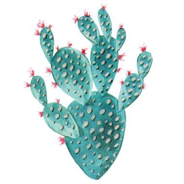 Suluboya ile boyanmış yeşil bir kaktüsün resmi. Resim baskı, animasyon, illüstrasyon, süs ve tekstil için kullanılabilir..