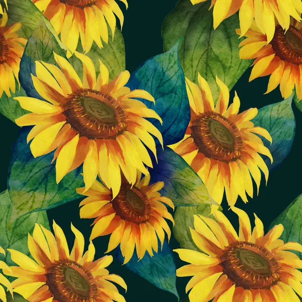 Візерунок Жовтих Соняшників Намальований Акварелі — стокове фото