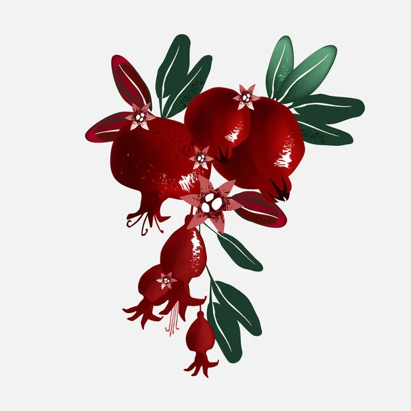 Illustration Granatäpple Gren Med Frukter Blad Och Blommor Den Kan — Stockfoto