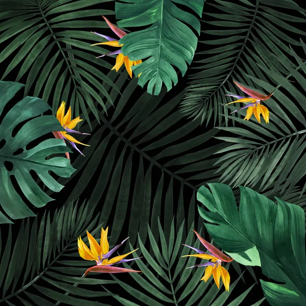 Illusztrációs Keret Pálmafalból Szúnyogból Banánfából Egzotikus Virágokkal Használhatja Saját Tervezéséhez — Stock Fotó