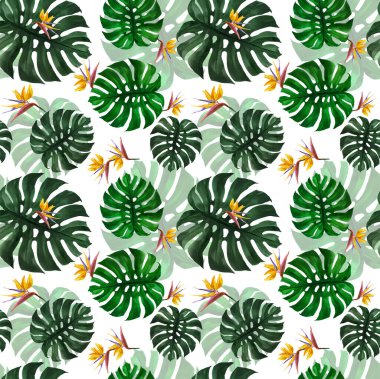 Kusursuz yeşil canavar yaprakları ve egzotik çiçekler. Kendi tasarımın için kullanabilirsin..