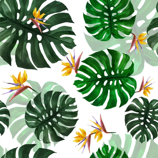 Nahtloses Muster Aus Grünen Monsterblättern Und Exotischen Blüten Sie Können — Stockfoto