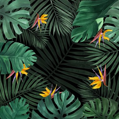 Palmiye yapraklarından, munster 'dan, egzotik çiçekli muz ağacından yapılmış bir resim çerçevesi. Kendi tasarımın için kullanabilirsin..