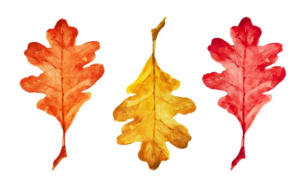 明るい秋の葉のイラスト オークの葉 秋のテーマ ハロウィンだ あなた自身のデザインのためにそれを使用できます — ストック写真