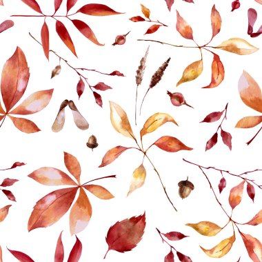 Sonbahar bitkilerinin suluboya desenleri. Sonbahar yaprakları, yapraklar dökülür. Modern parlak stil. Tasarımınız için parlak bir baskı kullanabilirsiniz.