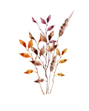 El yapımı suluboya çizimi. Sonbahar buketi, şifalı bitkiler, sıcak renklerde yapılmış. Beyaz arka planda stok çizimi. Kendi tasarımın için kullanabilirsin.. 