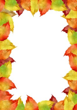 Kartpostallar ve davetiyeler için sonbahar parlak yapraklarından yapılmış suluboya çiçek çerçevesi..