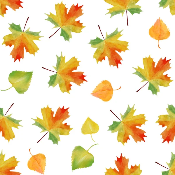 Бесшовный Рисунок Осенних Кленовых Березовых Листьев Яркий Листок Падает Современная — стоковое фото