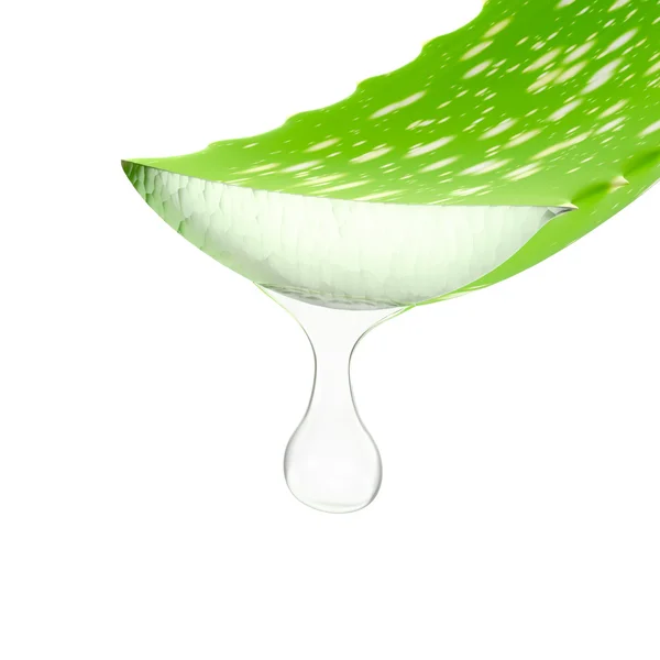 Aloe vera. — Foto Stock