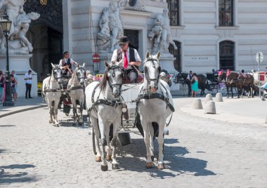 Vienna, Avusturya - 3 Temmuz 2015: At arabası rides aracılığıyla