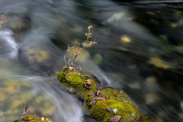 Zbliżenie: Pearl Shoal wodospad w Jiuzhaigou, Sichuan, Chiny — Zdjęcie stockowe