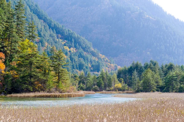 Herbst Fluss mit Aloe von Jiuzhaigou, China — Stockfoto