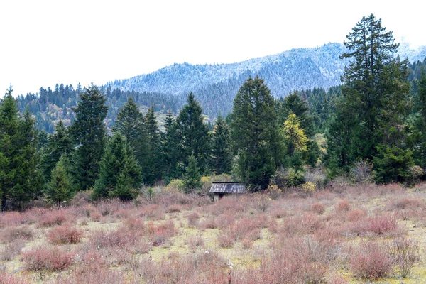 Chalet forestier en bois dans les montagnes — Photo