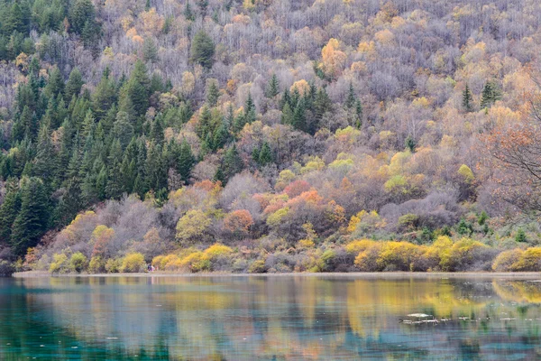 七彩湖和林在秋天在九寨谷国家公园，中国. — 图库照片