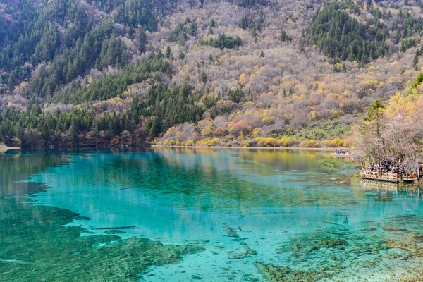 Jezioro kolorowy i lód w jesieni w jiuzhai valley national park, Chiny. — Zdjęcie stockowe