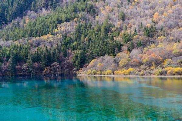 Sichuan, china - 05. November 2014: Touristen besuchen die Jiuzhaigou Landschaft in jiuzhaigou, sichuan, china. lizenzfreie Stockfotos