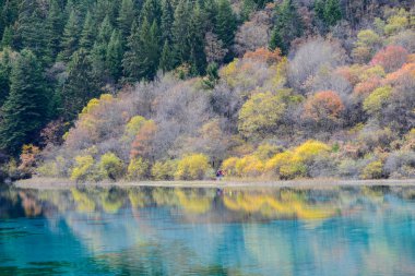 Sichuan, Çin - 05 Kasım 2014: Turist ziyaret Jiuzhaigou sahne spot Jiuzhaigou, Sichuan, Çin.