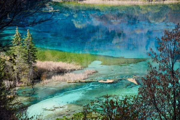 Красочное озеро и форт осенью в национальном парке долины Цзючжай, Китай . Стоковое Фото