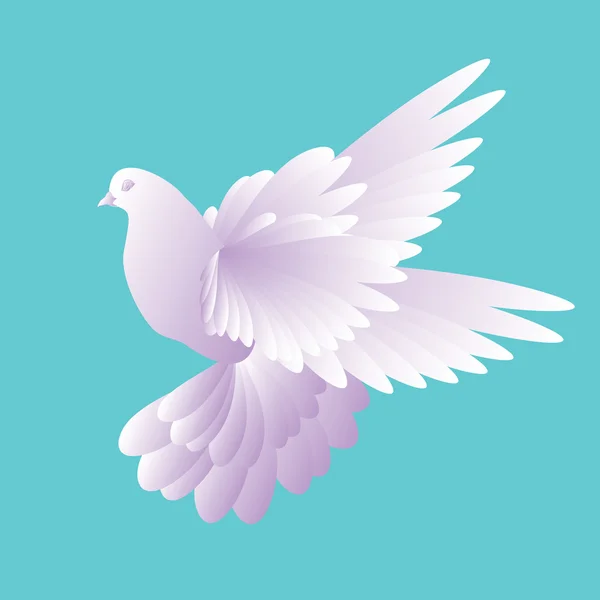 Белый голубь в голубом небе 2 — стоковый вектор