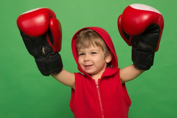 Little boy in boxing gloves Royalty Free Stock Photos