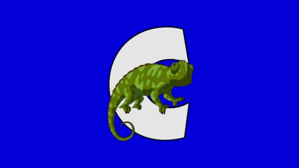 Letter C and Chameleon (foreground) — Stock Video